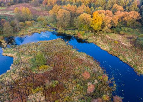 puszcza bolimowska ciekawe miejsca|The Top 20 Attractions around Bolimowski Park Krajobrazowy